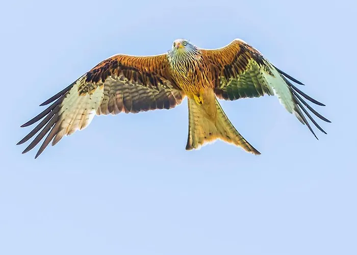 House Hotel Glenridding