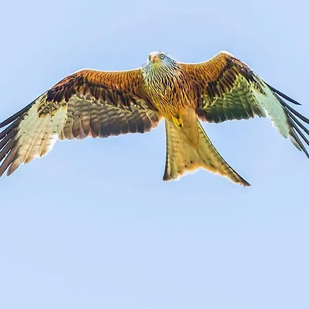 House ホテル グレンリディング